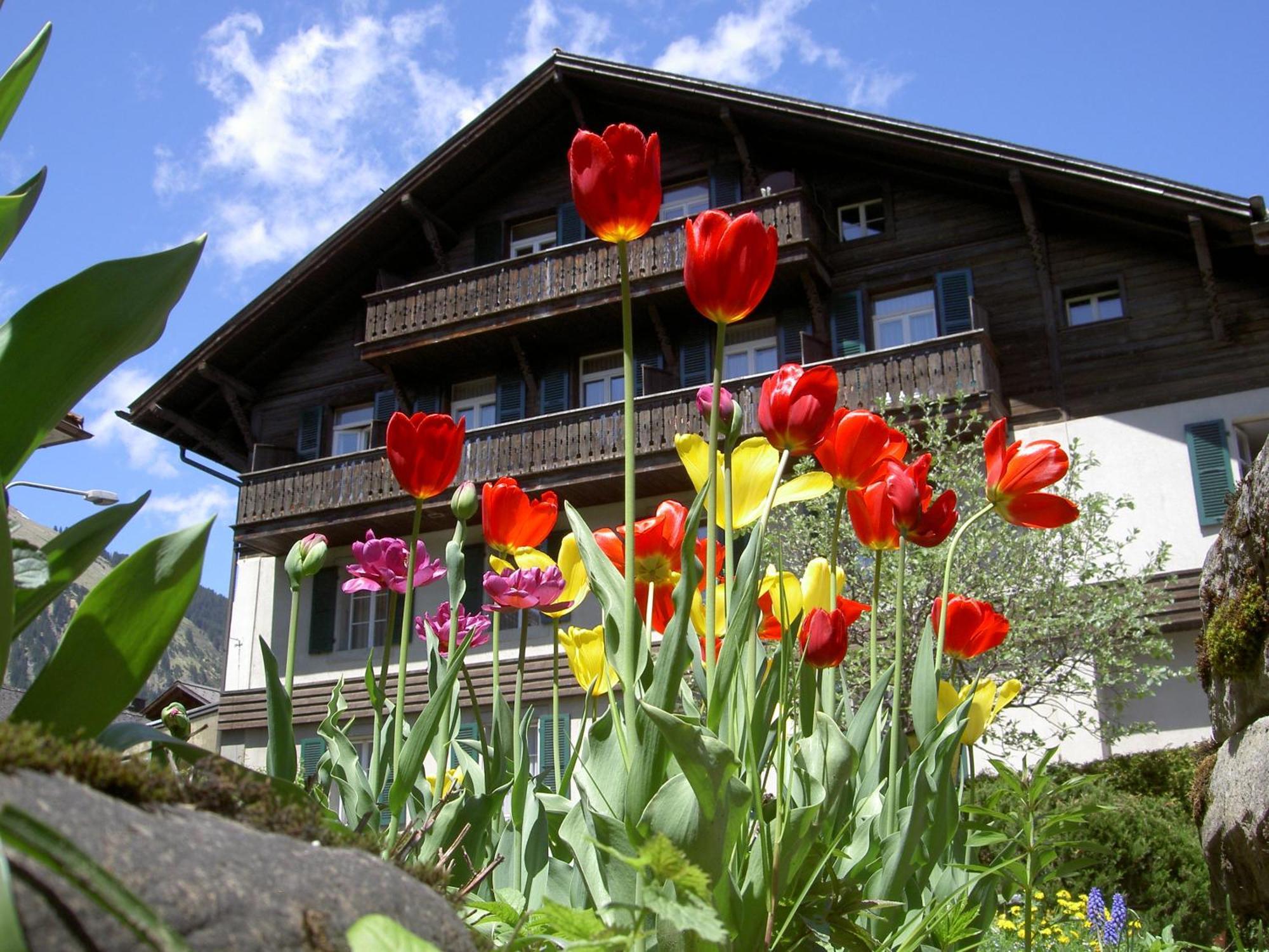 Hotel Sternen Lenk Exteriér fotografie